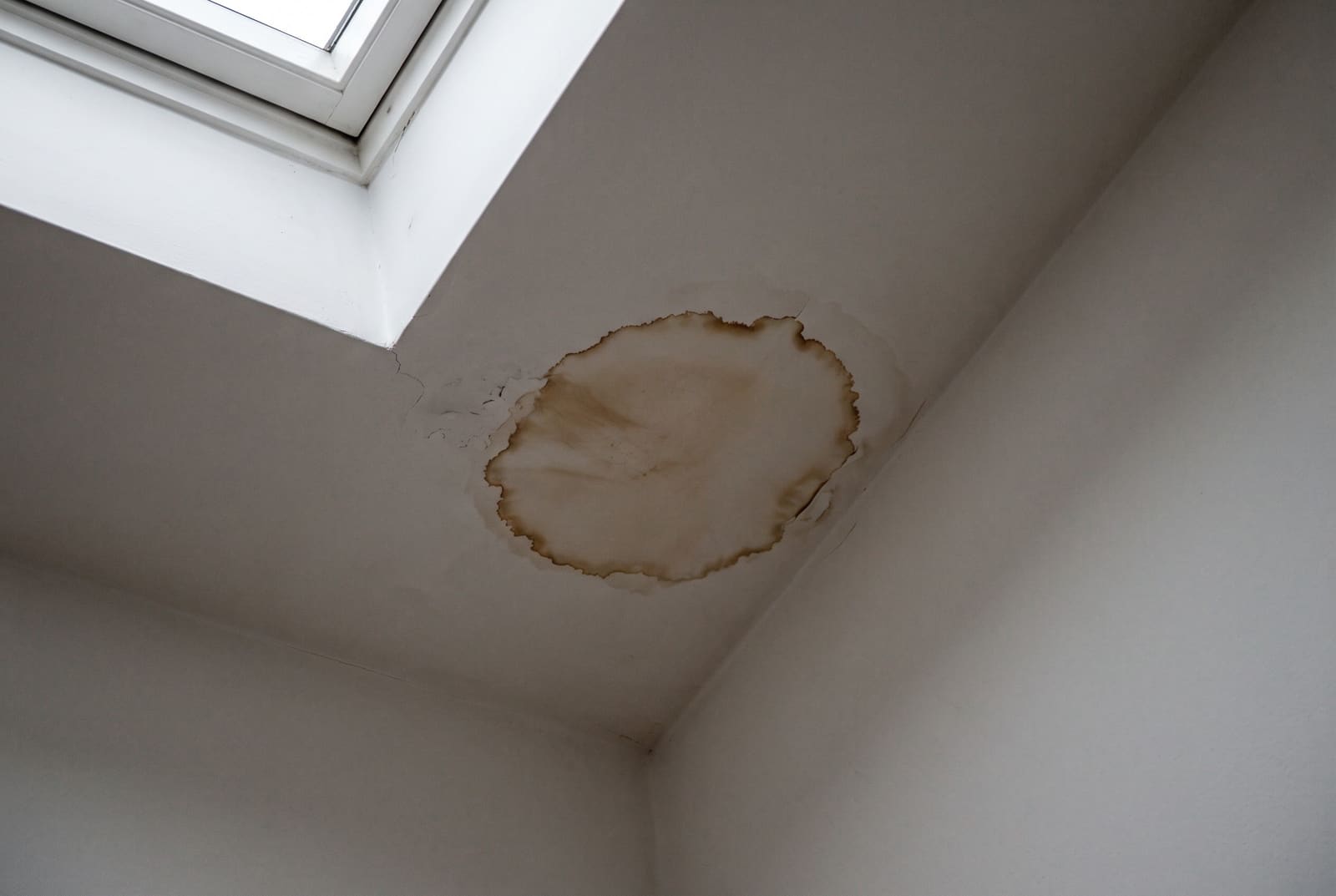 A brown water stain spreading across a white ceiling beside a skylight.